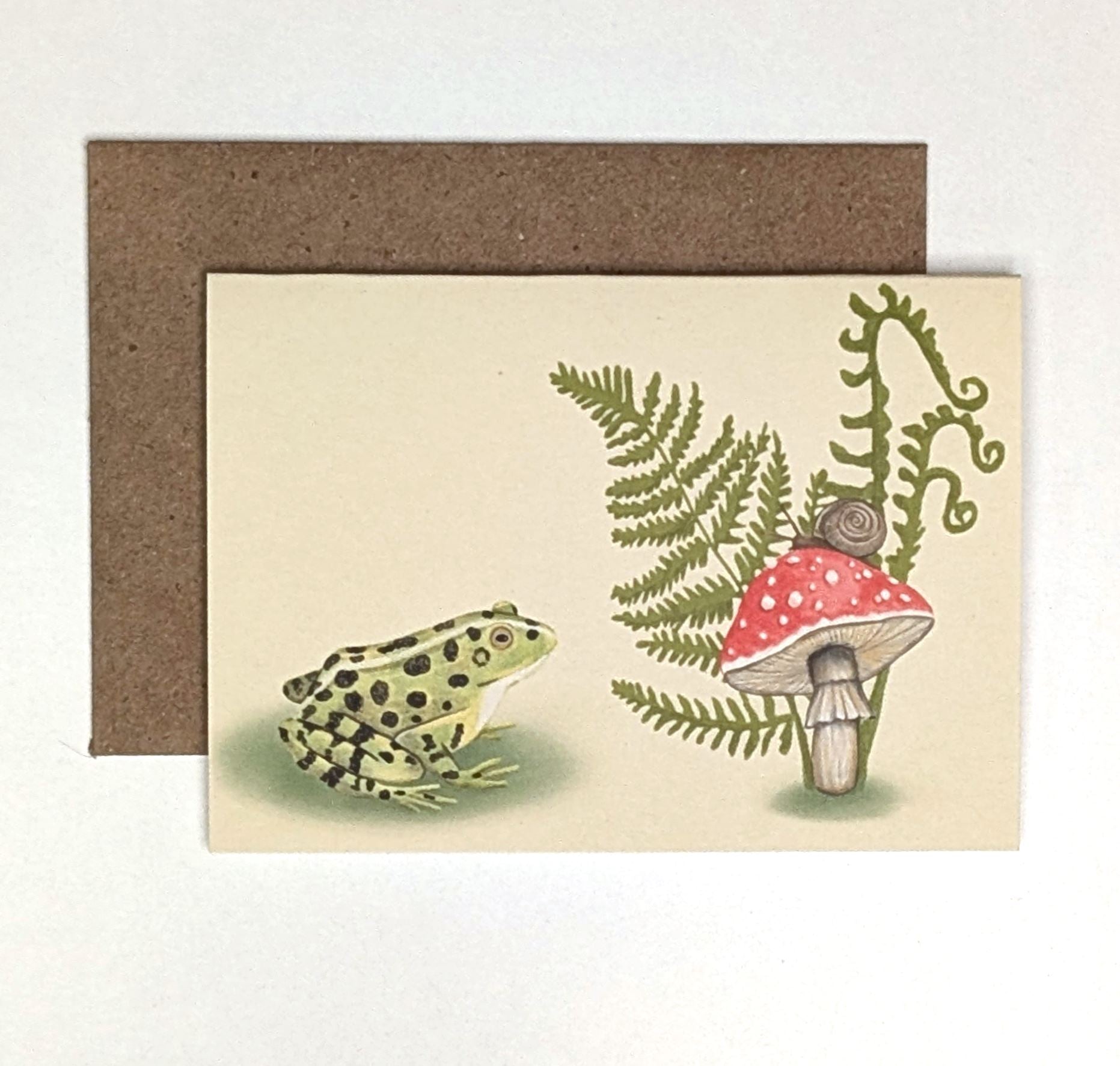 Mushroom and Frog | Boxed Mini Cards (8) Greeting Cards Lucid Moon Studio 