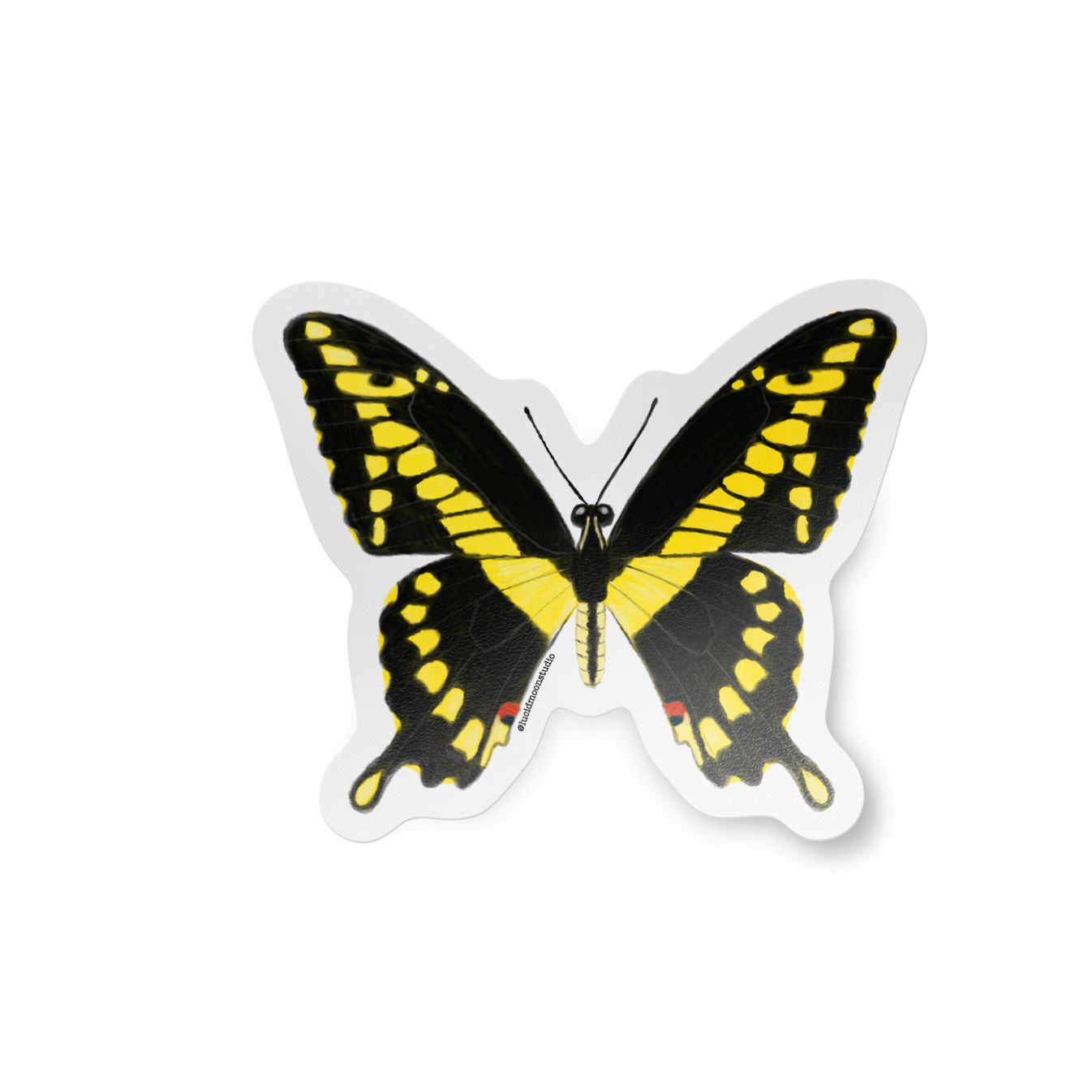 Nature Finds 2 Sticker Pack - 5 Stickers stickers Lucid Moon Studio 