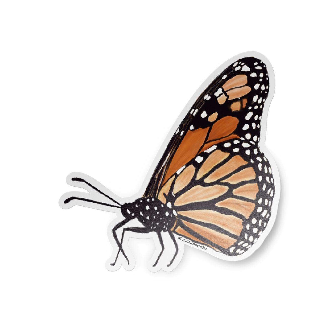 Nature Finds Sticker Pack - 5 Stickers stickers Lucid Moon Studio 