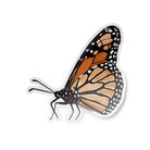 Nature Finds Sticker Pack - 5 Stickers stickers Lucid Moon Studio 