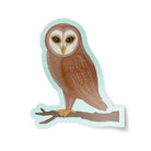 Nature Finds Sticker Pack - 5 Stickers stickers Lucid Moon Studio 