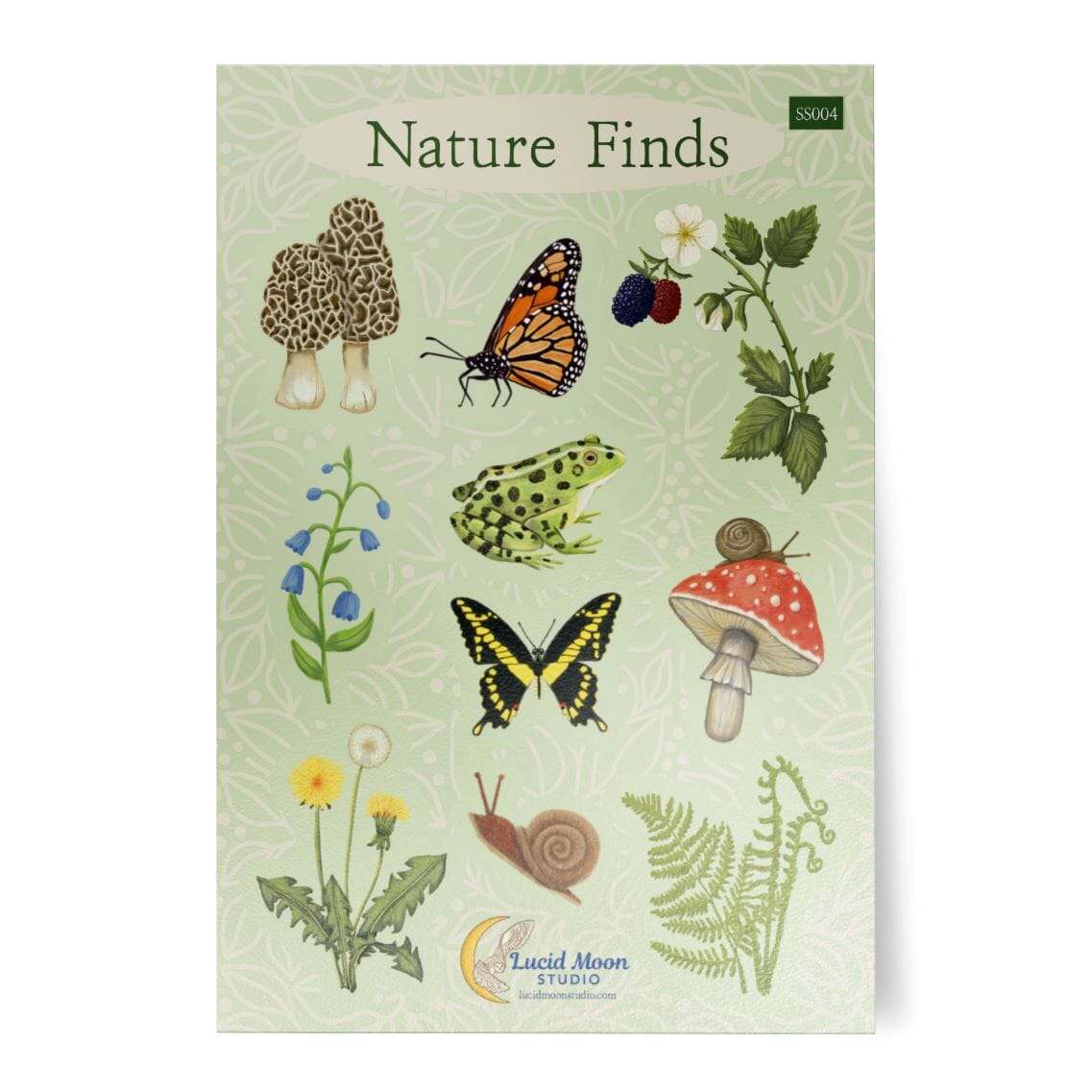 Nature Finds Vinyl Sticker Sheet – Lucid Moon Studio LLC