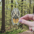 Oberthuer's Fruit Chafer Beetle Vinyl Sticker stickers Lucid Moon Studio LLC 