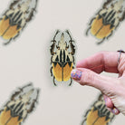 Oberthuer's Fruit Chafer Beetle Vinyl Sticker stickers Lucid Moon Studio LLC 