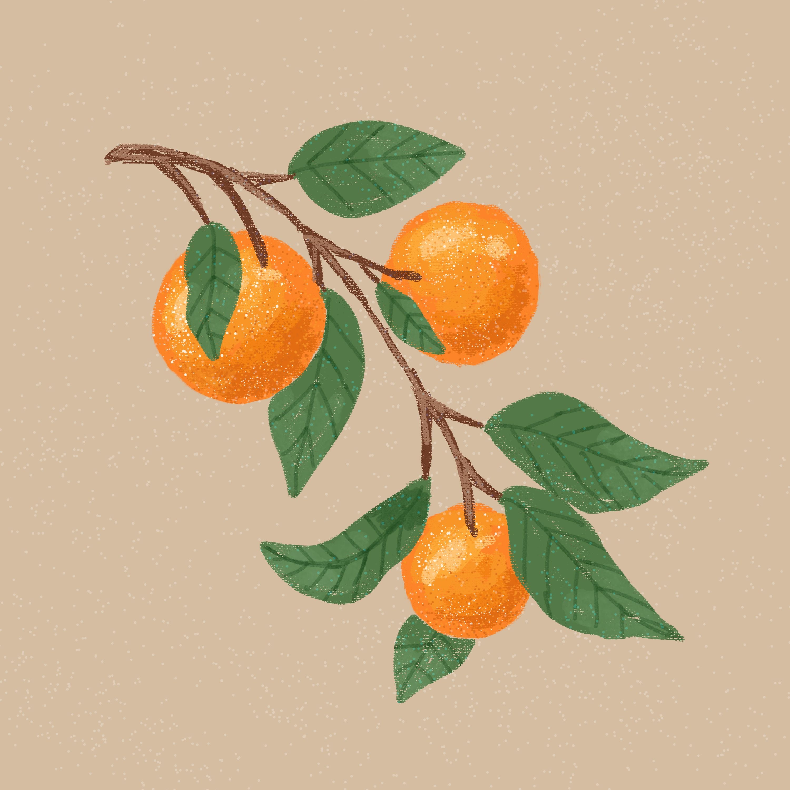 Oranges 8" x 8" Art Print Art Print Lucid Moon Studio 