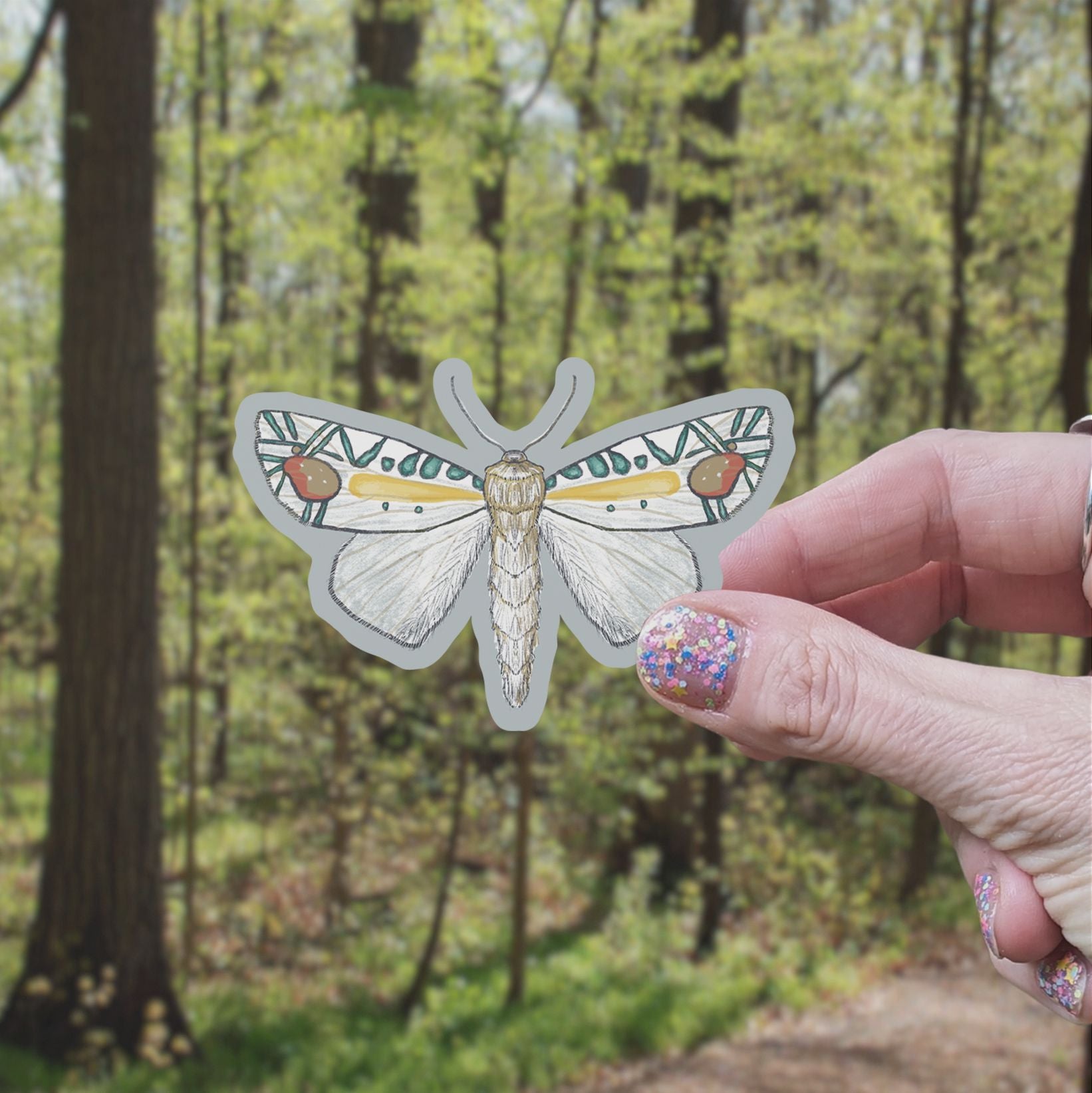 Picasso Moth Vinyl Sticker stickers Lucid Moon Studio LLC 