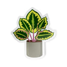 Potted Plants Sticker Pack - 5 Stickers stickers Lucid Moon Studio 