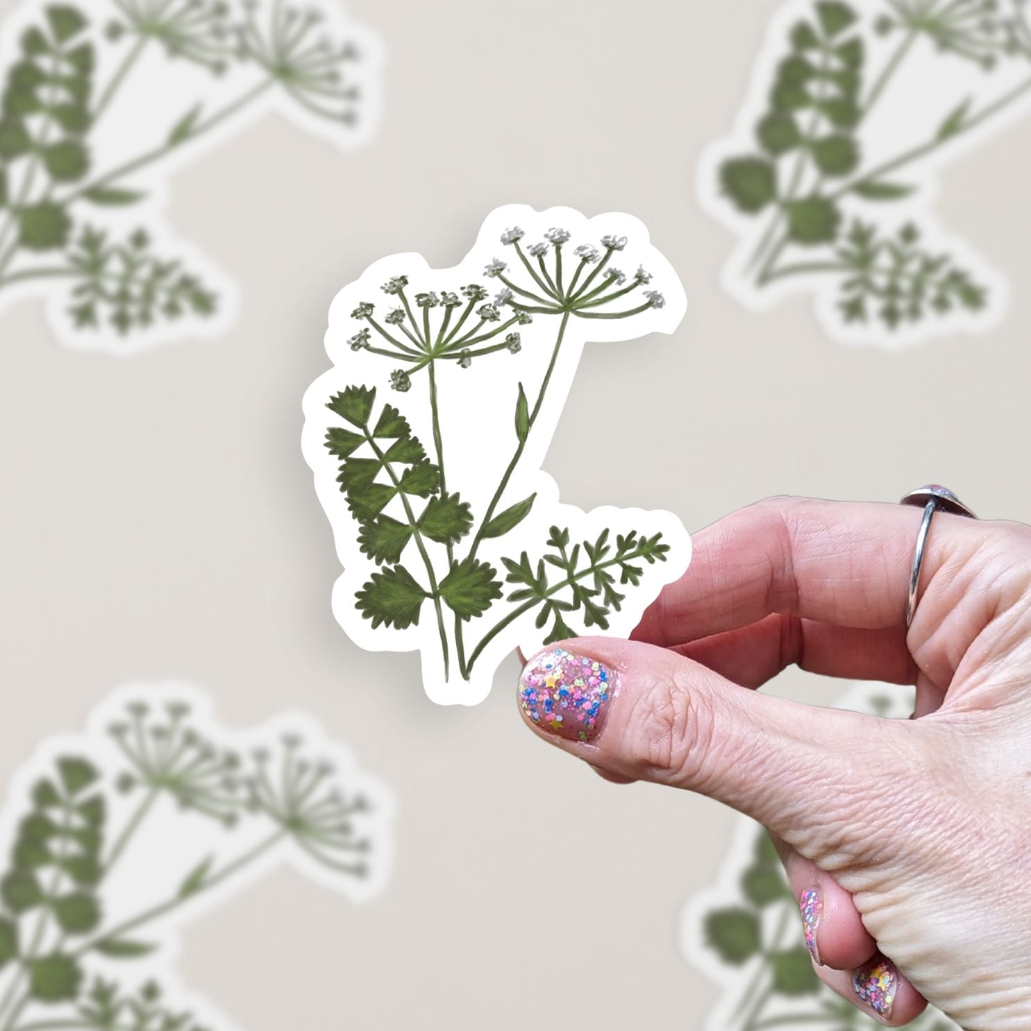 Queen Anne's Lace Vinyl Sticker stickers Lucid Moon Studio LLC 