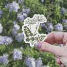 Queen Anne's Lace Vinyl Sticker stickers Lucid Moon Studio LLC 