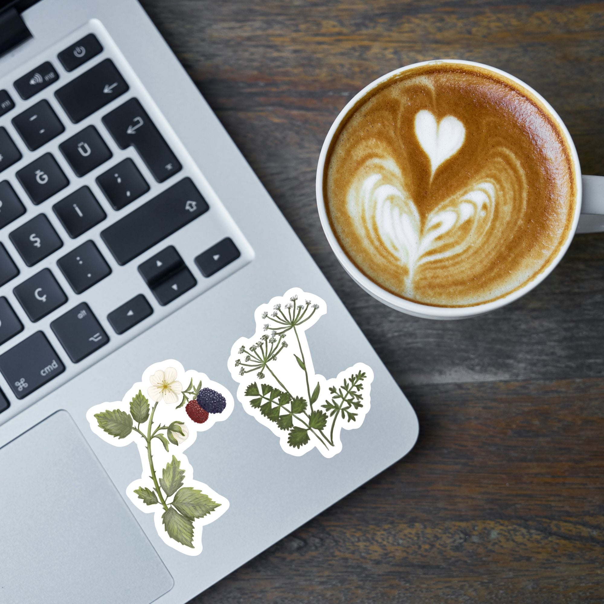 Queen Anne's Lace Vinyl Sticker stickers Lucid Moon Studio LLC 