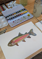 Watercolor painting of a rainbow trout on paper with watercolor set and brushes in the background.