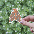 Regal Moth Vinyl Sticker stickers Lucid Moon Studio 