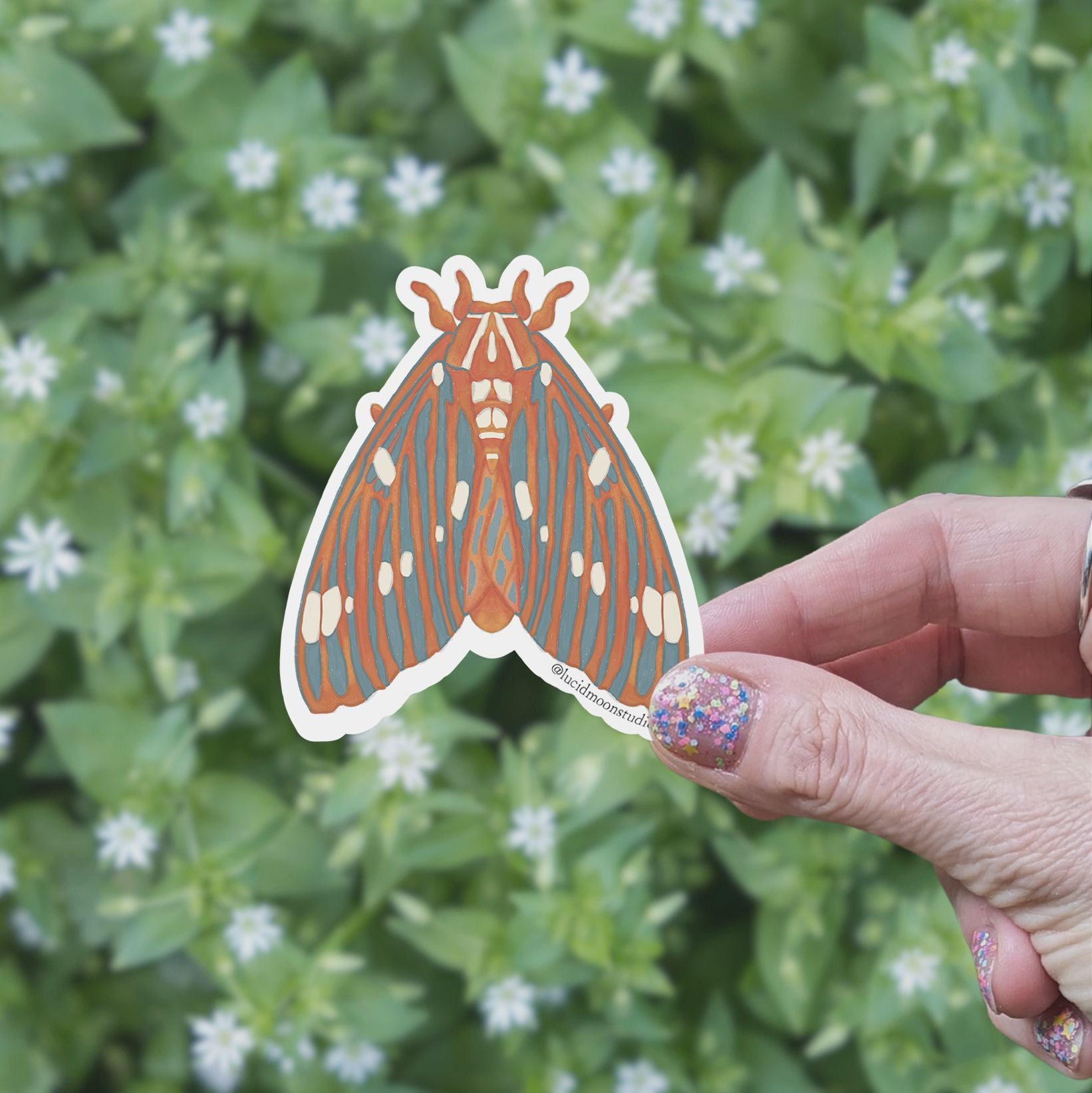 Regal Moth Vinyl Sticker stickers Lucid Moon Studio 