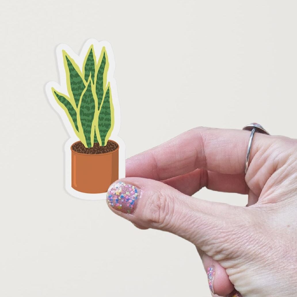 Hand holding a vinyl matte sticker with a hand drawn illustration of a green and yellow snake plant in an orange terracotta pot against a white background.