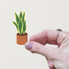 Hand holding a vinyl matte sticker with a hand drawn illustration of a green and yellow snake plant in an orange terracotta pot against a white background.
