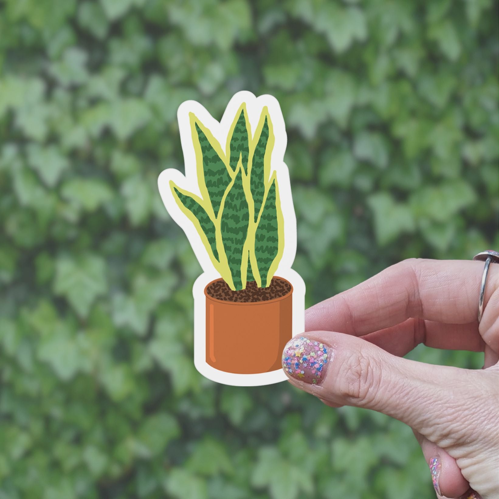 Snake Plant Vinyl Sticker stickers Lucid Moon Studio 