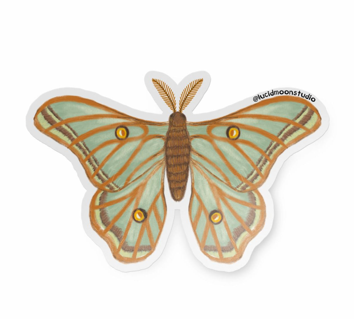 Spanish Moon Moth Glossy Vinyl Waterproof Sticker stickers Lucid Moon Studio 