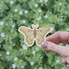 Spanish Moon Moth Vinyl Sticker stickers Lucid Moon Studio 