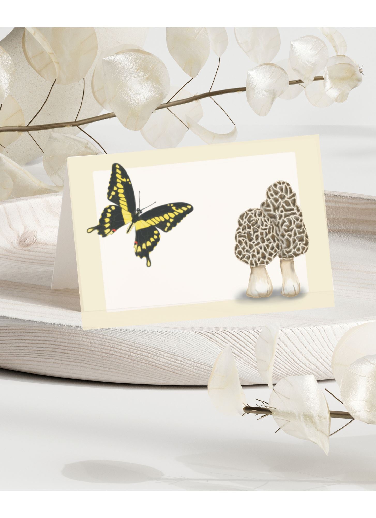 Swallowtail and Morel Mushrooms | Boxed Mini Cards (8) Greeting Cards Lucid Moon Studio 