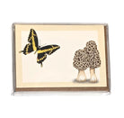 Swallowtail and Morel Mushrooms | Boxed Mini Cards (8) Greeting Cards Lucid Moon Studio 